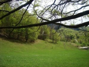 Cabana Vis de Munte