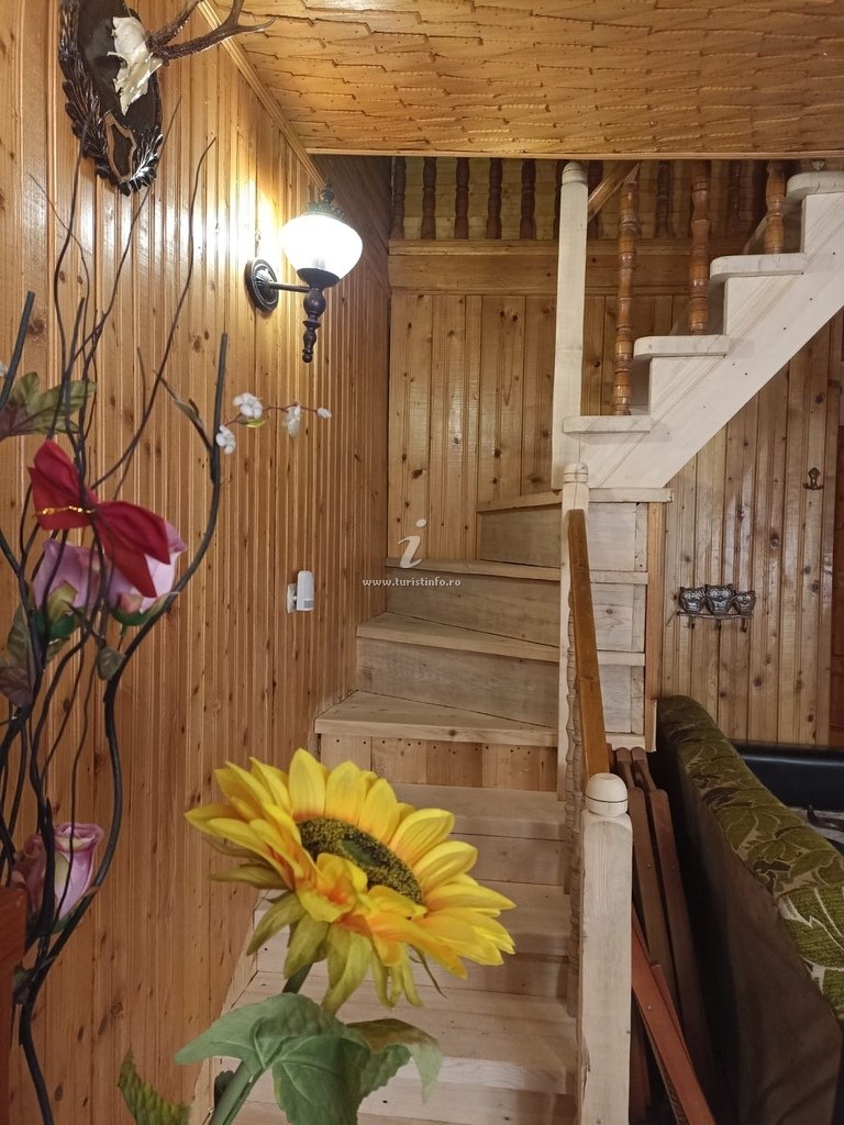 Cabana cu Brăduți