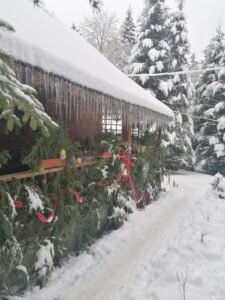 Cabana cu Brăduți