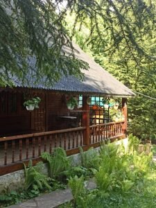 Cabana cu Brăduți