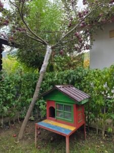 Casa Poiana 2
