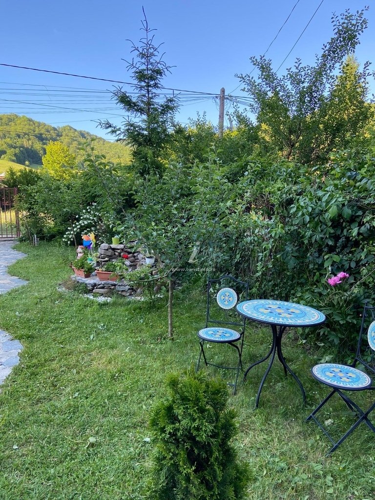 Casa Rustic