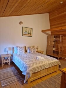 Casa Tisaru