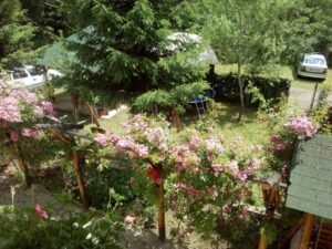 Casa de vacanță Rândunica