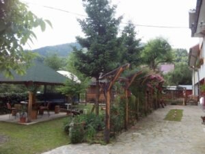 Casa de vacanță Rândunica