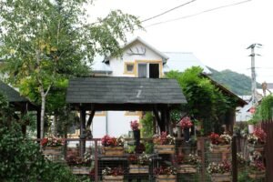 Casa de vacanță Rândunica