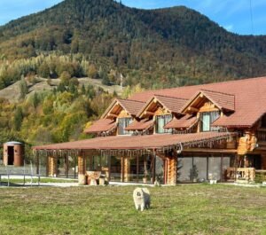Chalet in Muntii Vrancei