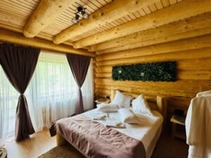 Chalet in Muntii Vrancei