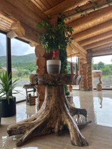 Chalet in Muntii Vrancei