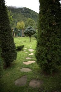 Pensiunea Green Vega