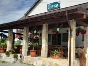 Hanu Lepsa