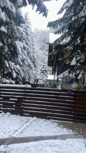 Pensiunea Casa Domnească