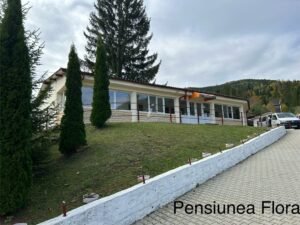 Pensiunea Flora – B