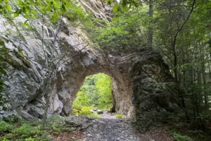 Rezervația Cheile Tișiței
