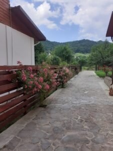 Vila Bradul