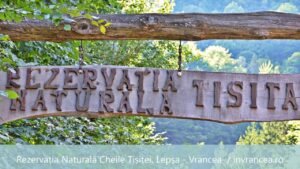 Rezervația Cheile Tișiței